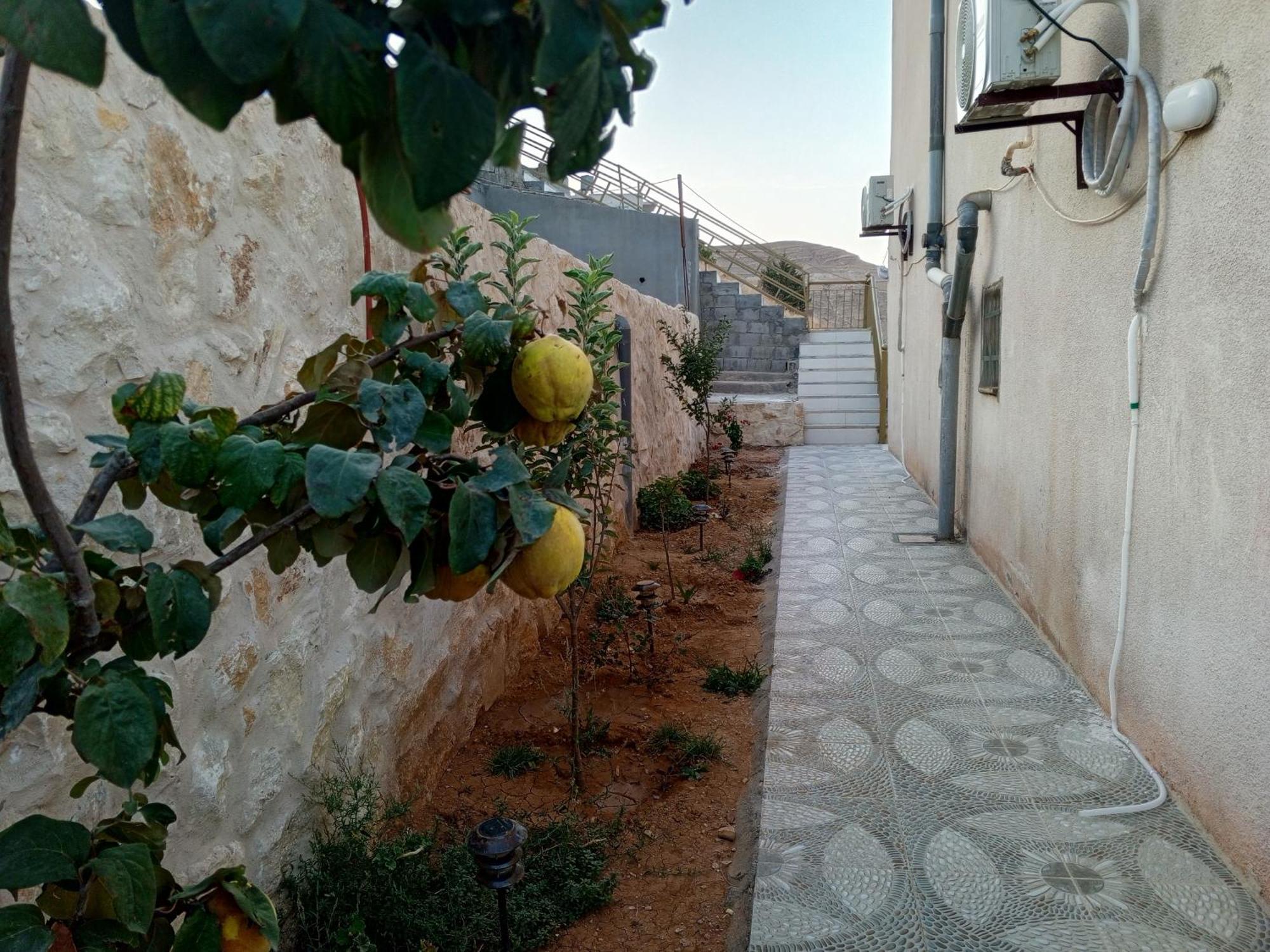 Petra Inn House Wadi Musa Eksteriør billede